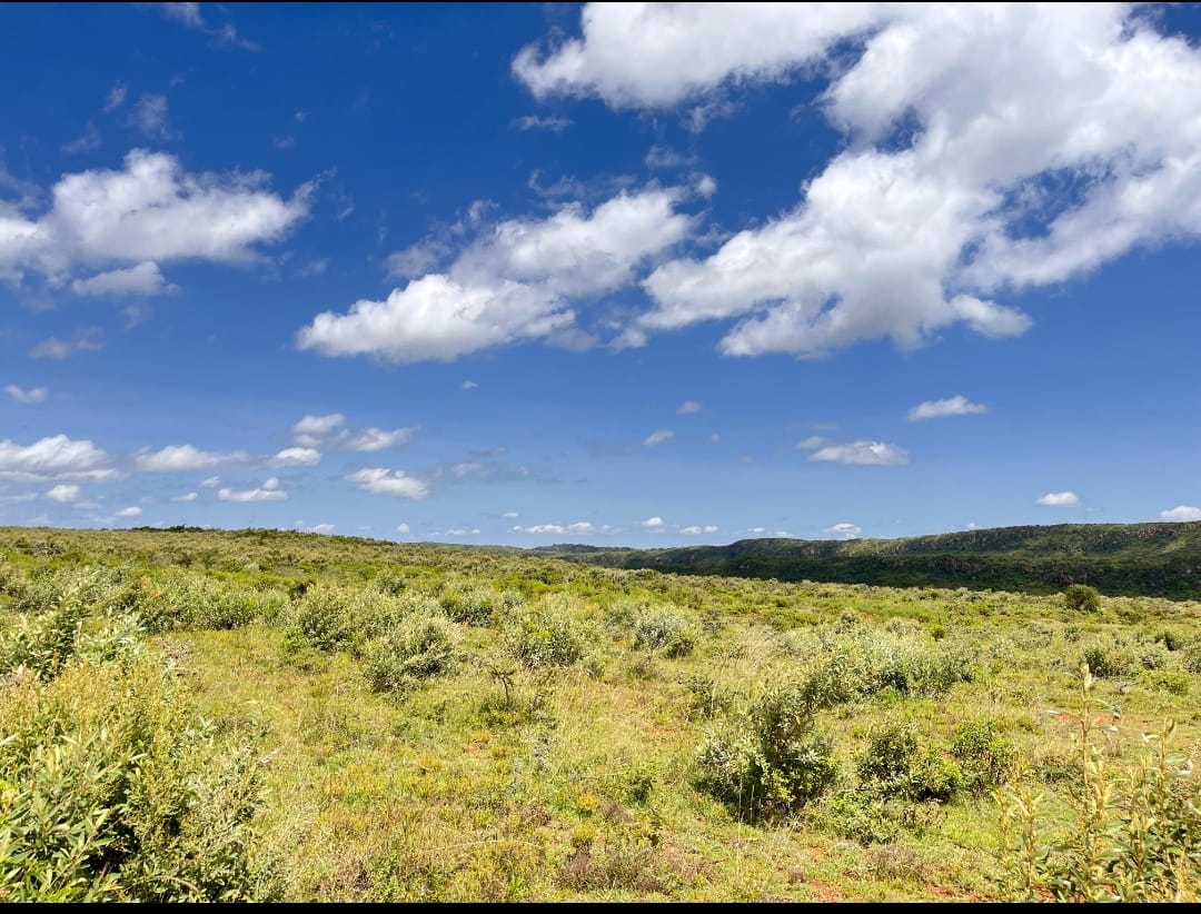 green hill estate phase 1