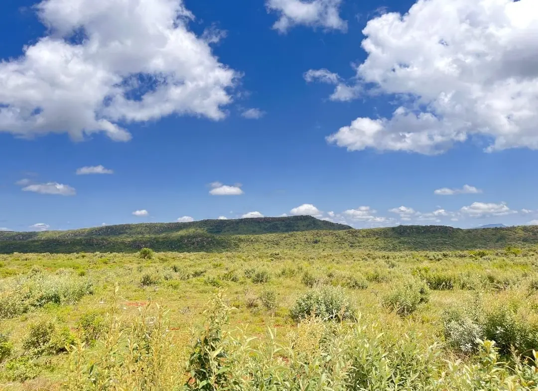 prime plots in Nachu