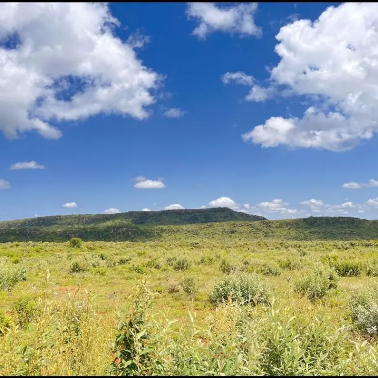 prime plots in Nachu