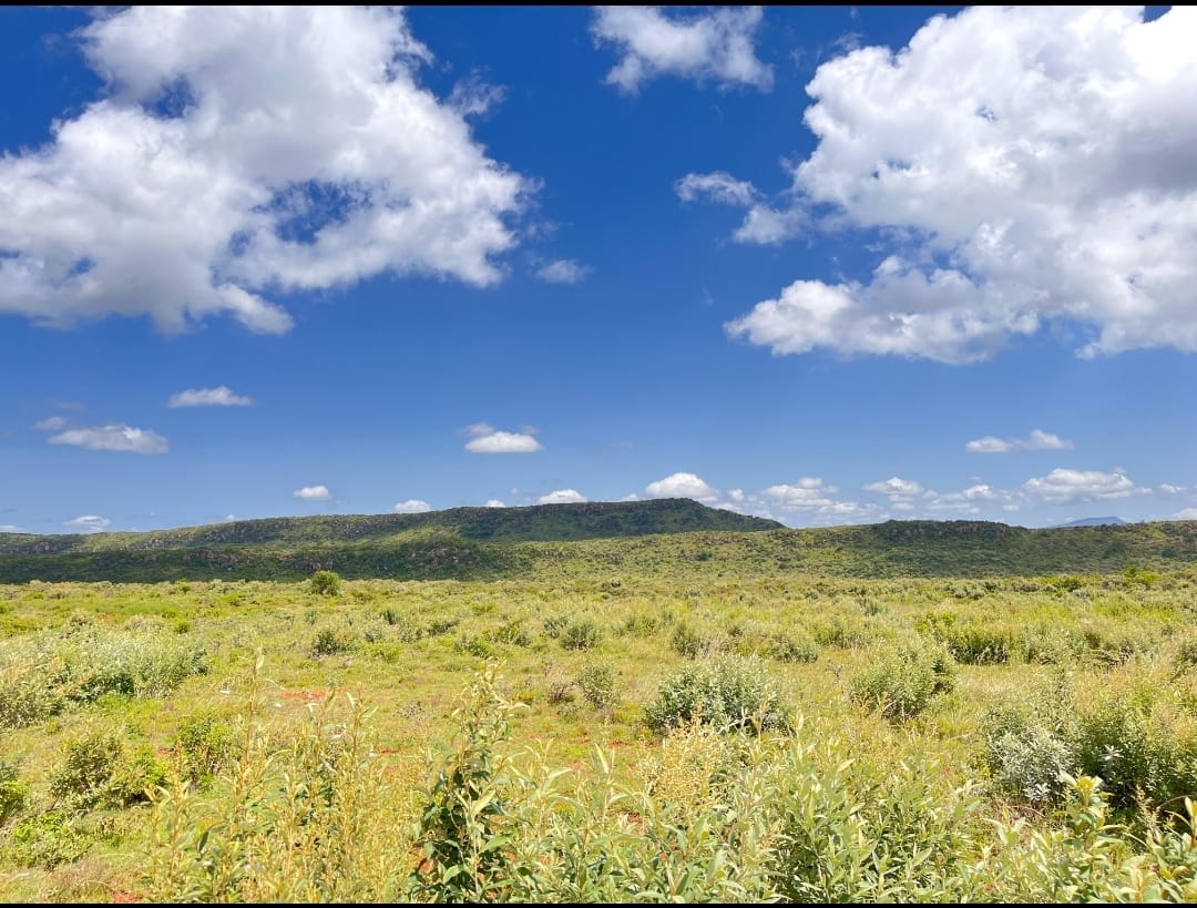 prime plots in Nachu