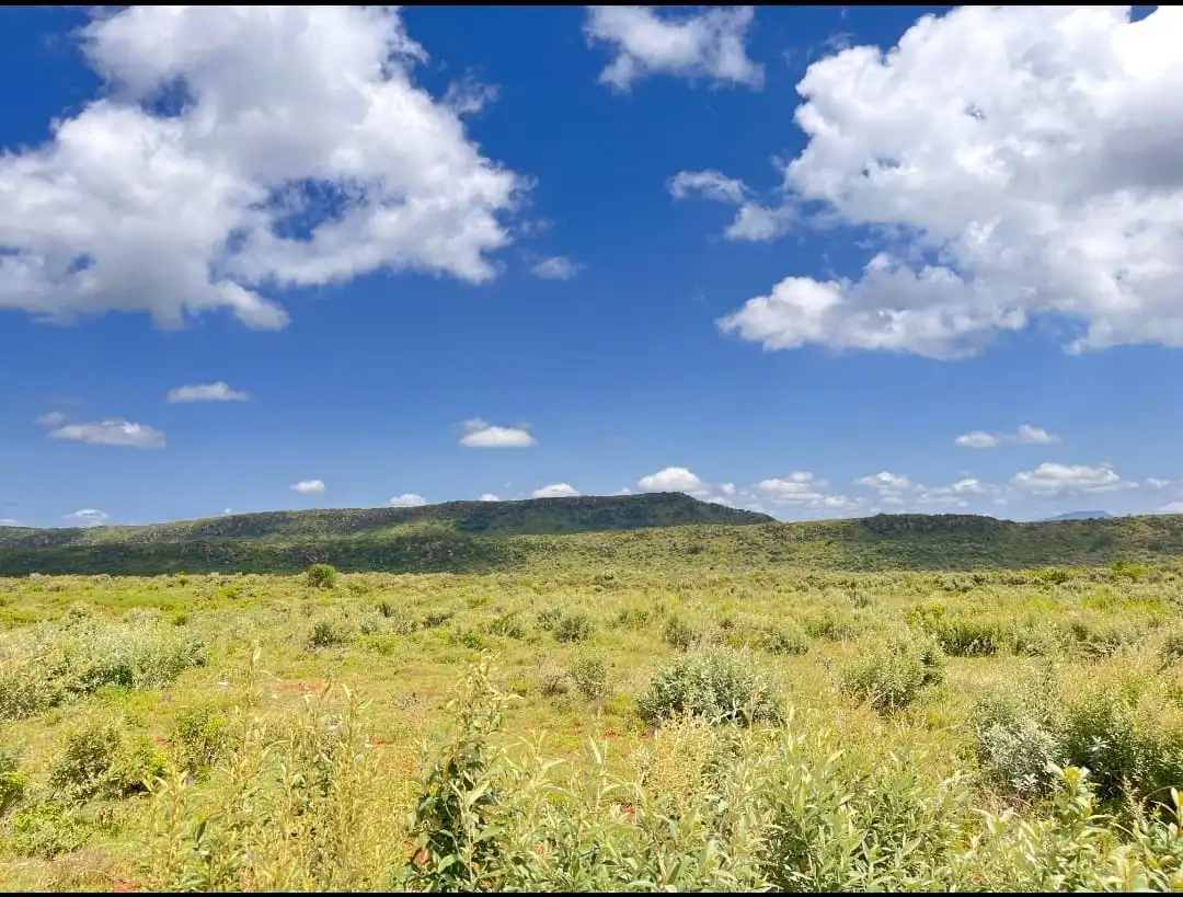 prime plots in Nachu