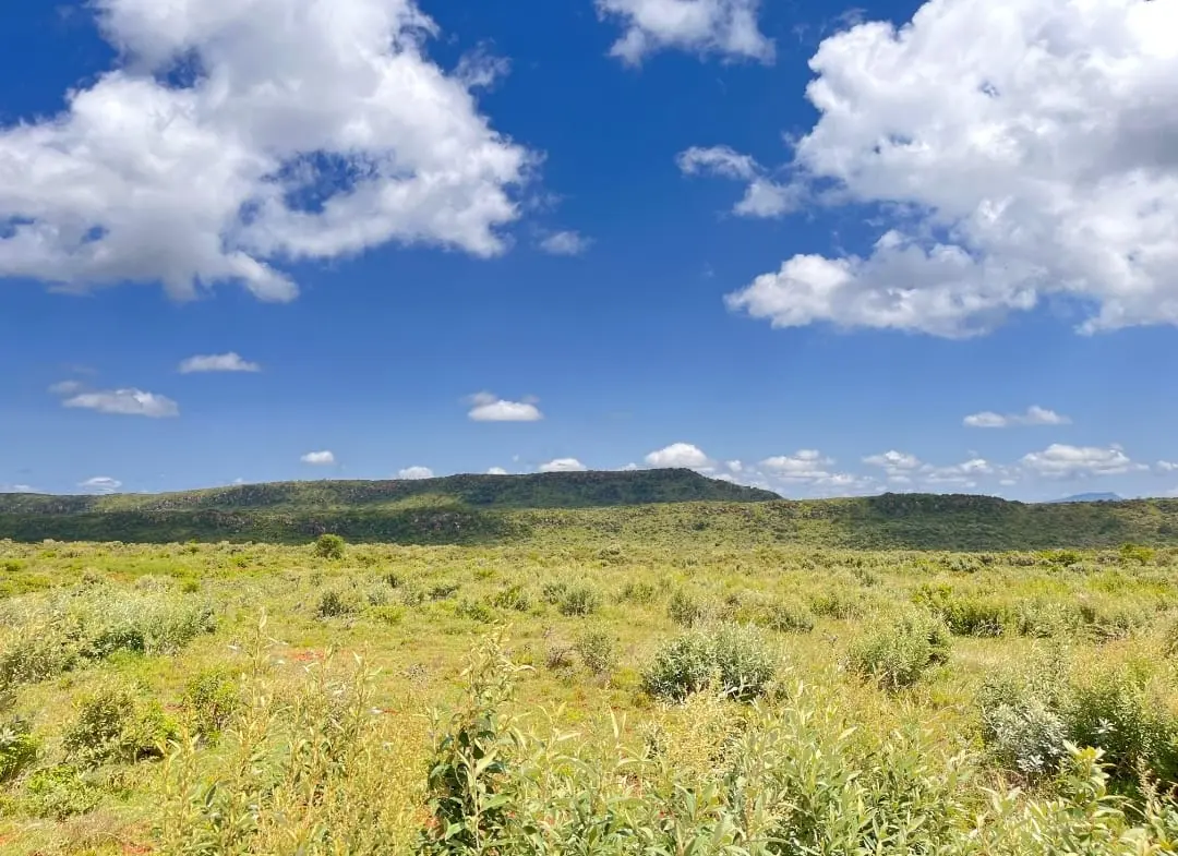 prime land for sale