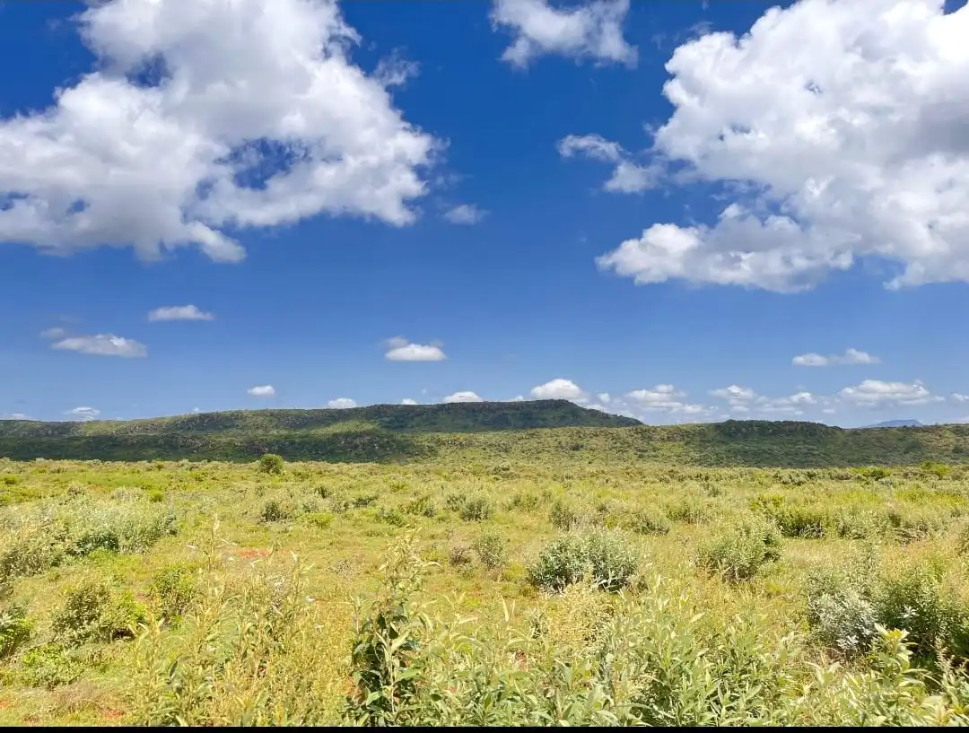 prime land for sale