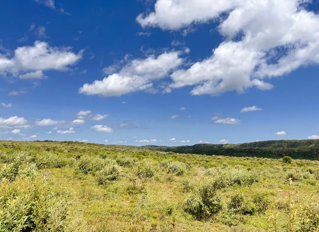 Prime Plots in Nachu phase 1