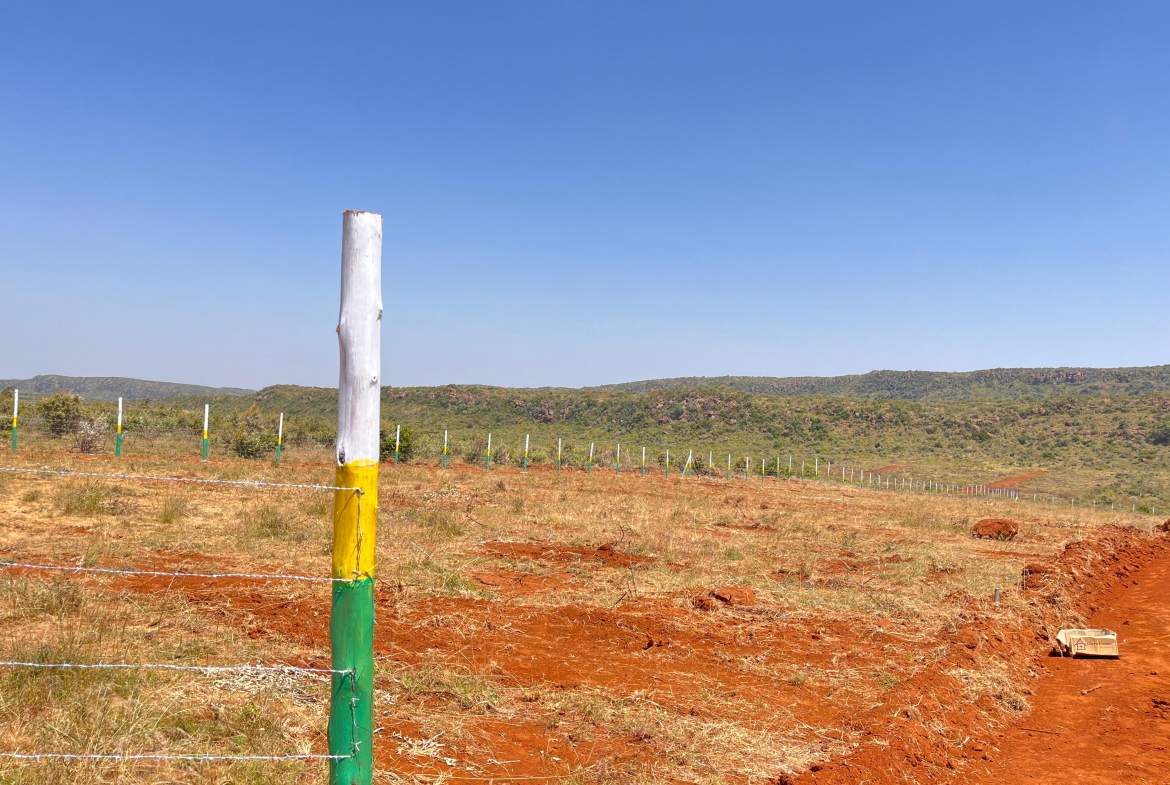 Affordable Land for Sale in Nachu for 375k
