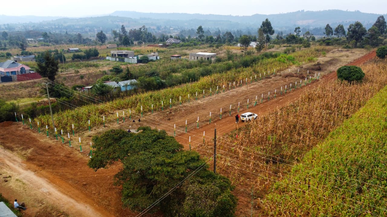 prime plot of land in momboini 1.3M