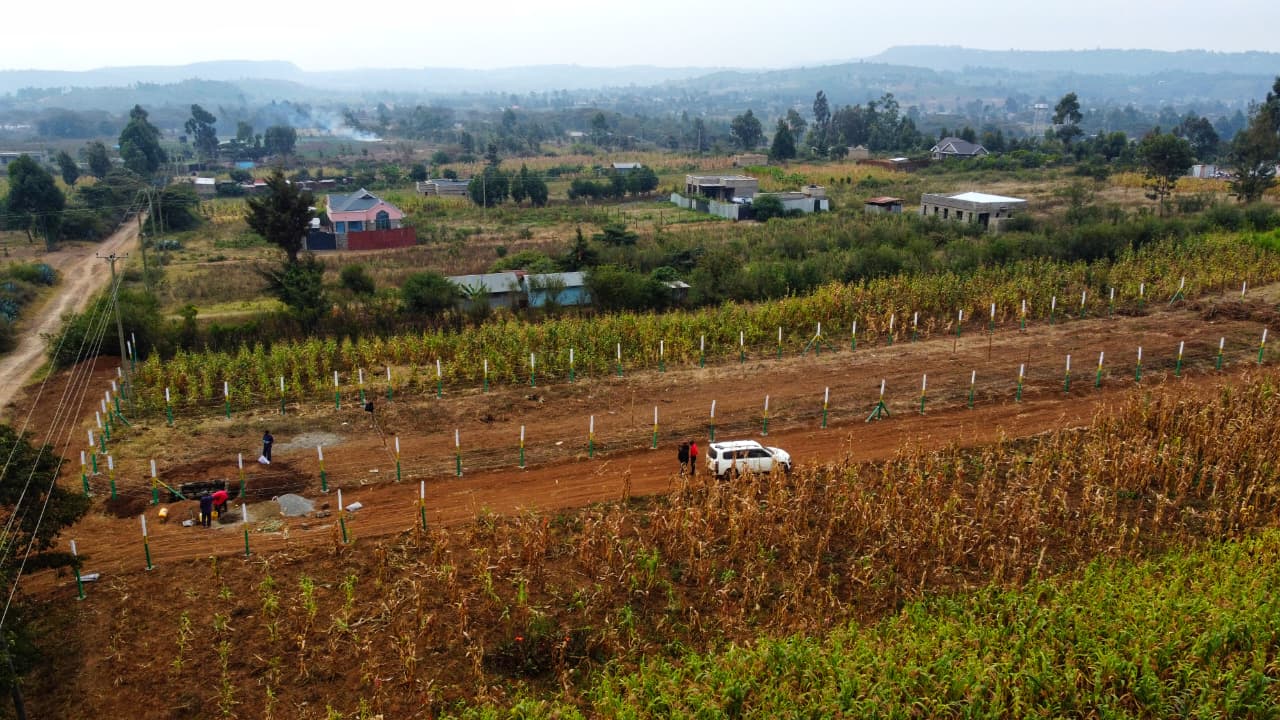 prime plot of land in momboini 1.3M prime & affordable 50x100 plots in kikuyu momboini