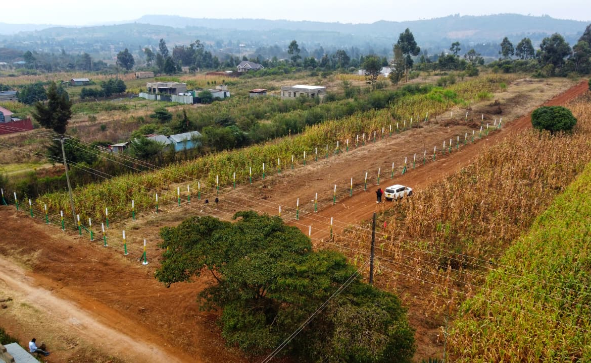 prime & affordable 50x100 plots in kikuyu momboini