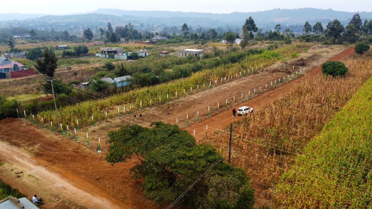 prime plot of land in momboini 1.3M prime & affordable 50x100 plots in kikuyu momboini