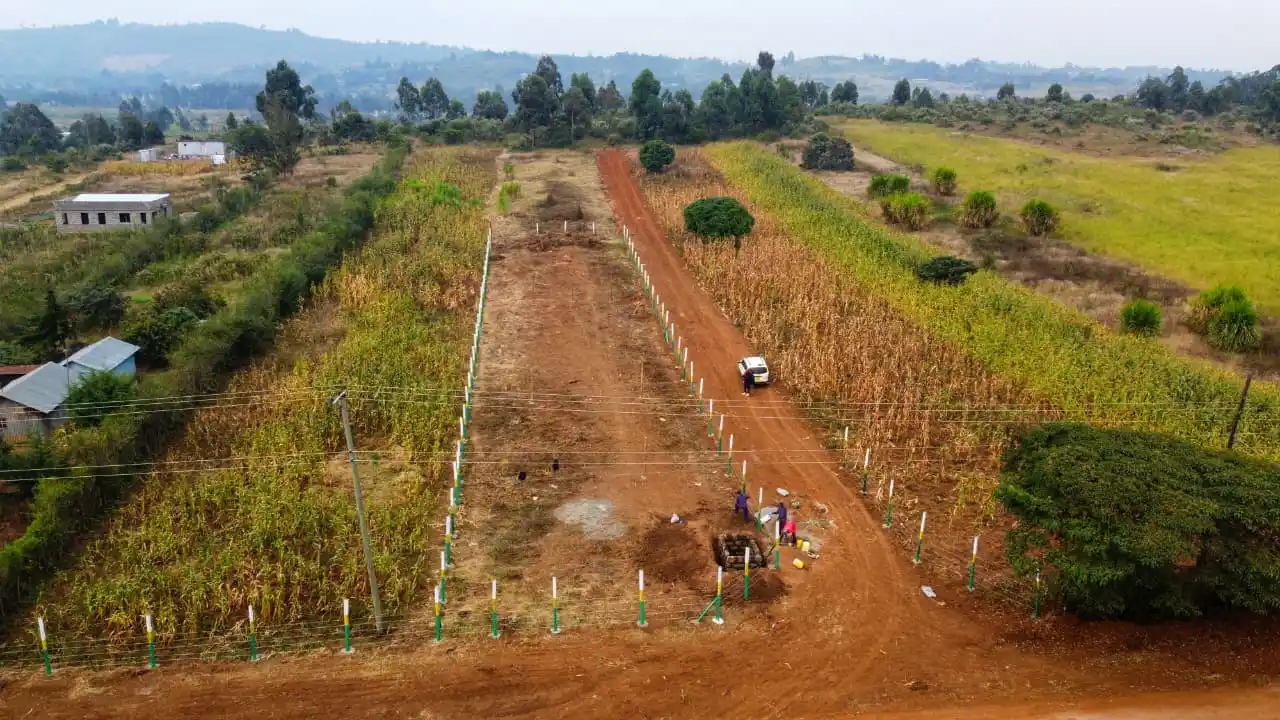 prime & affordable 50x100 plots in kikuyu momboini
