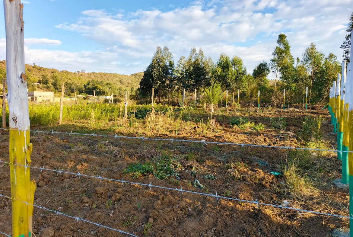 Greenlands Estate