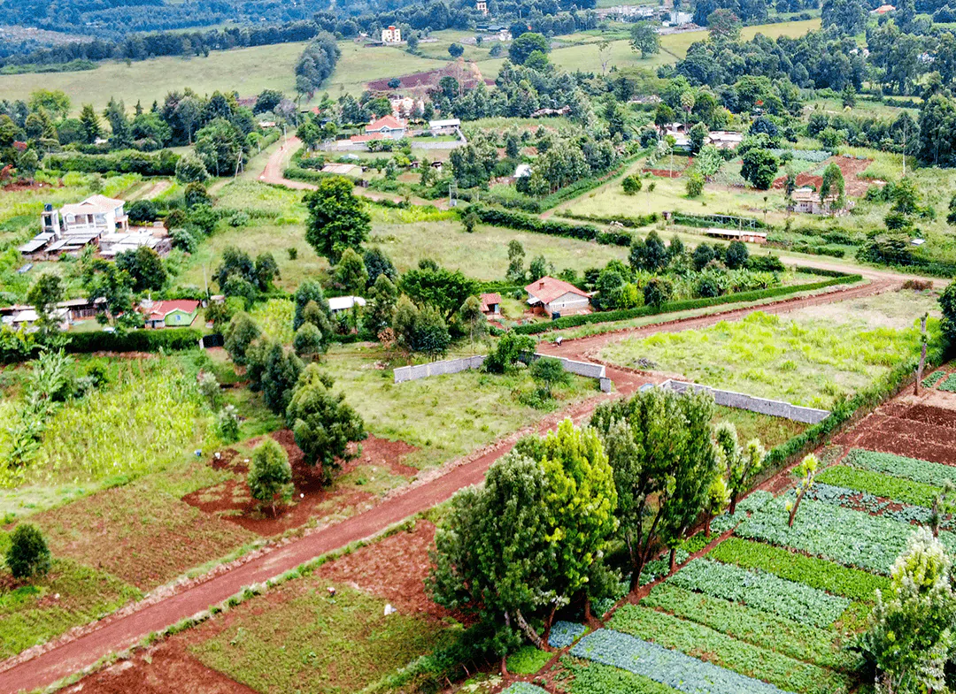Oasis Gardens, Ondiri, Kikuyu