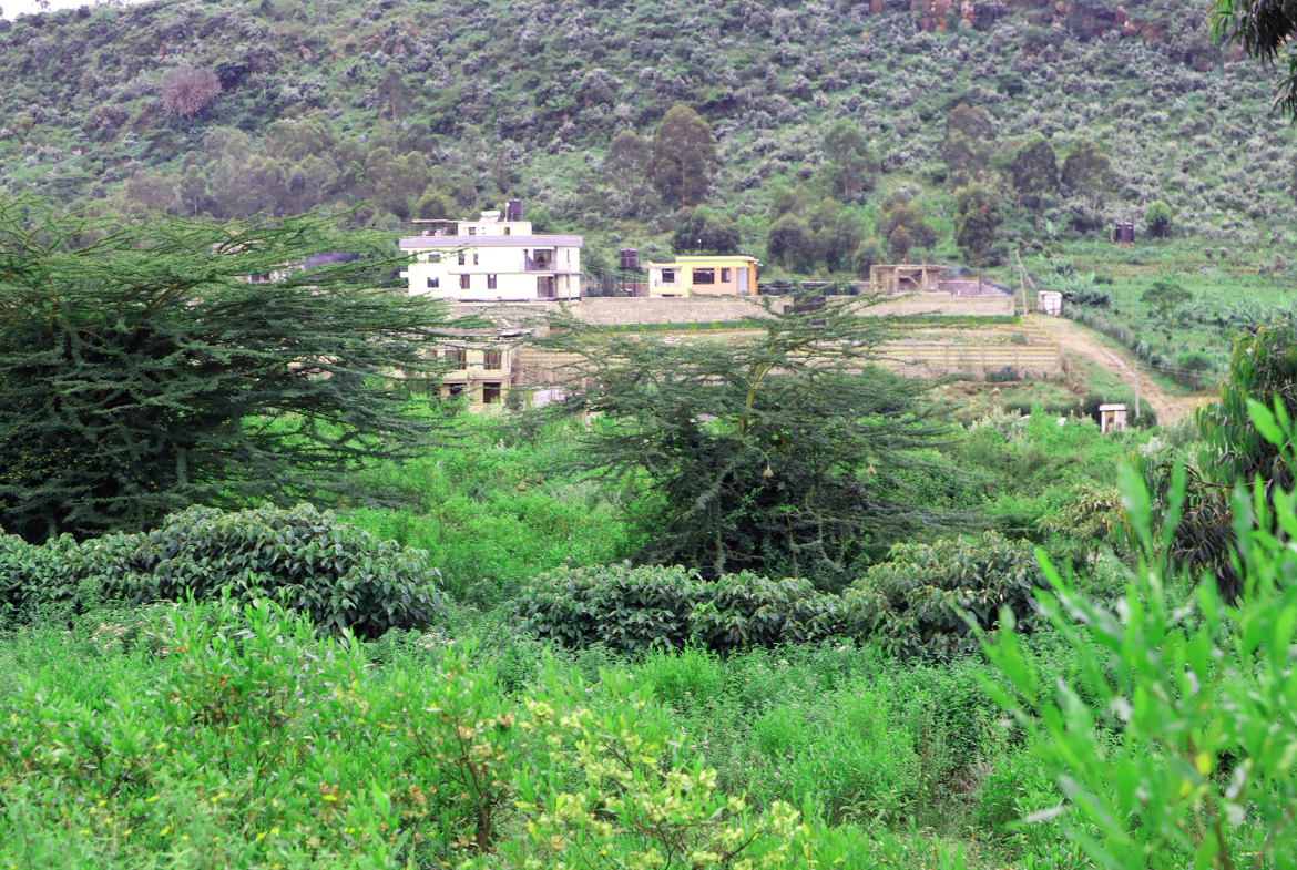 Greenlands Estate