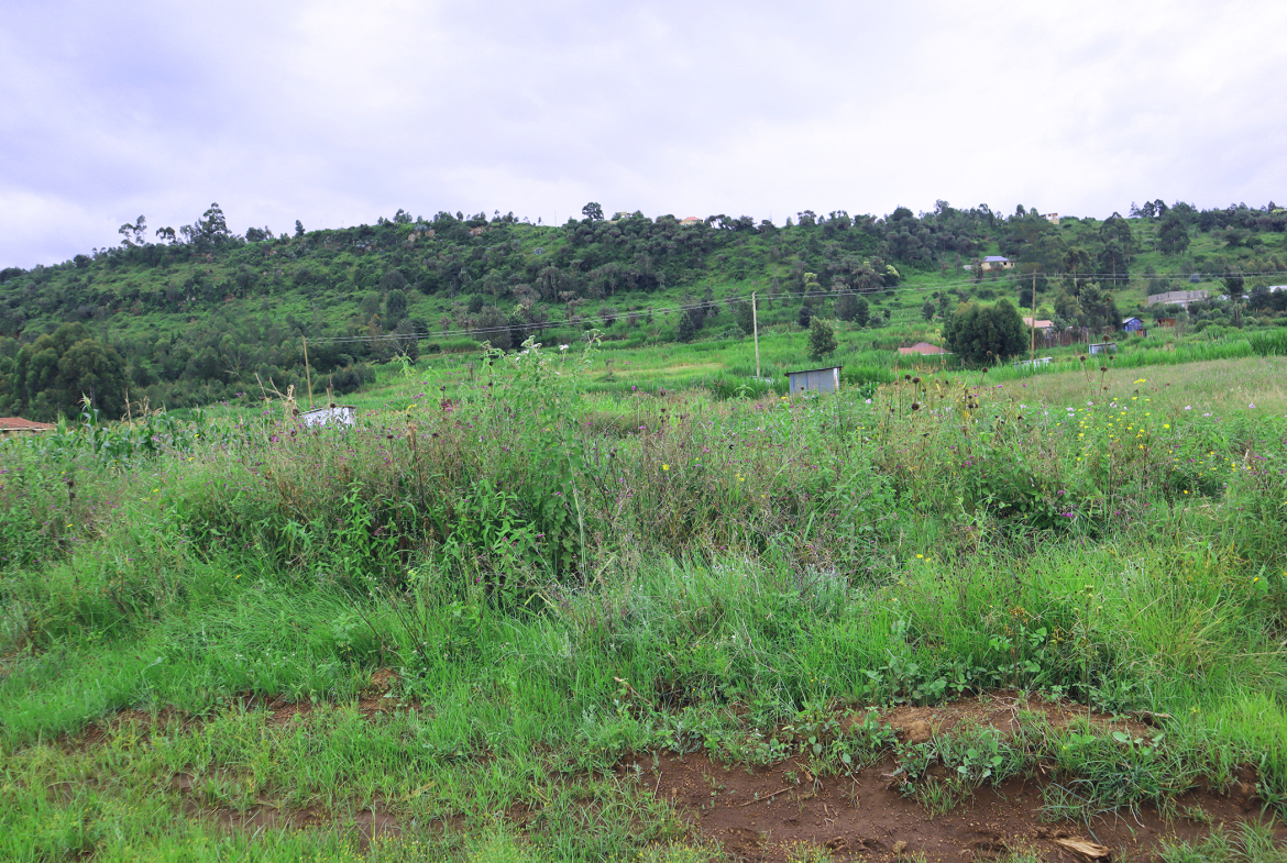 Greenlands Estate