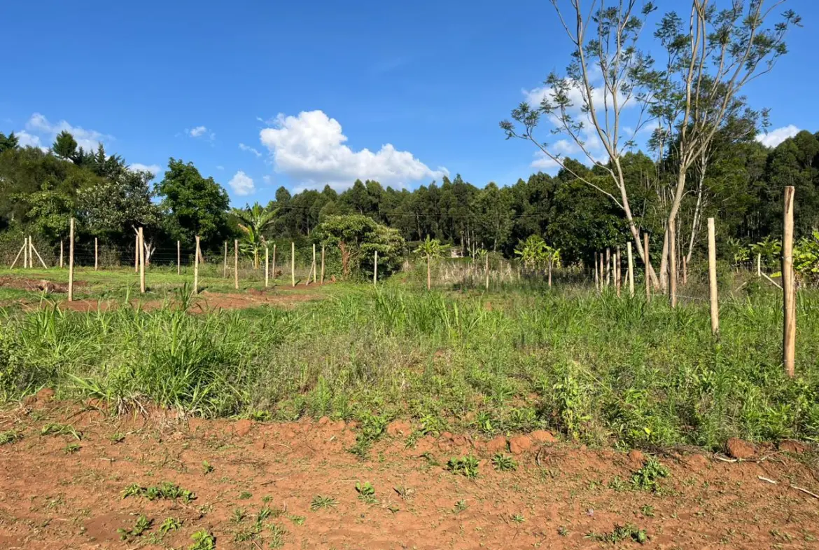 Prime Plot In thigio For only 1.5M