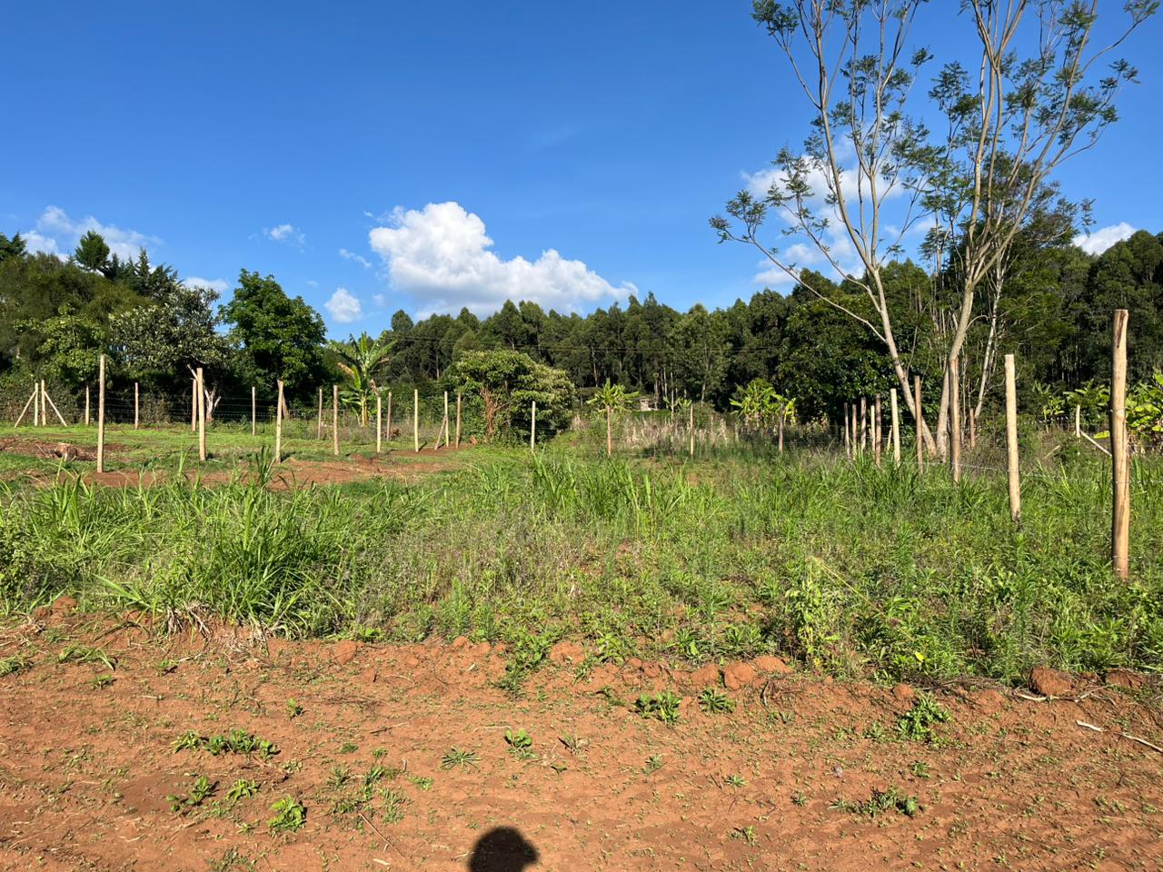 Prime Plot In thigio For only 1.5M