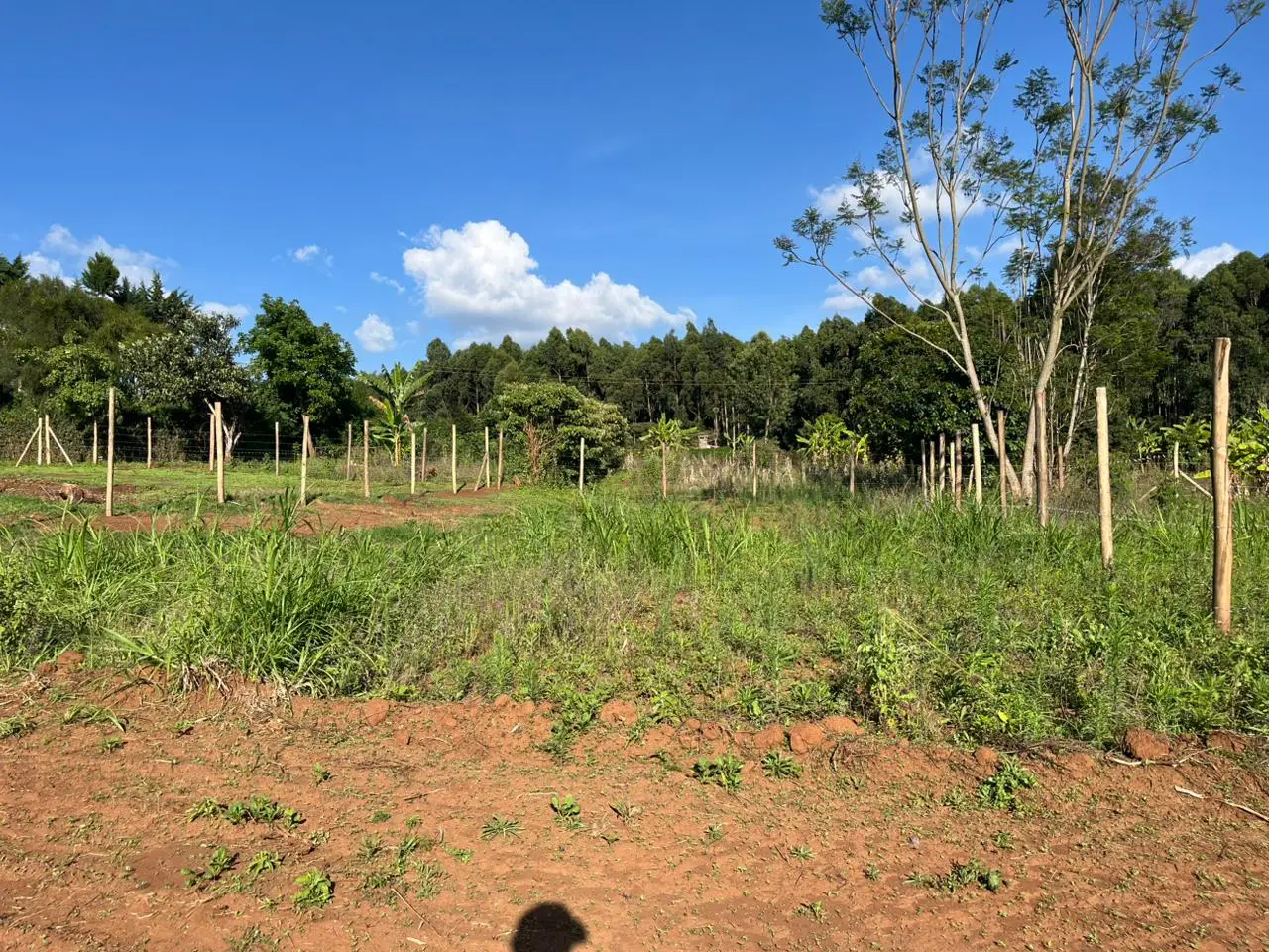 Prime Plot In thigio For only 1.5M