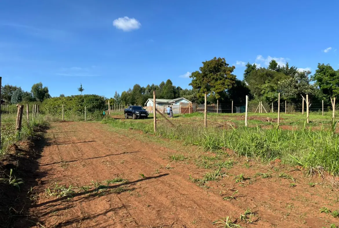 Prime Plot In thigio For only 1.5M