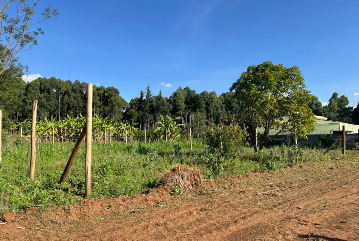 Prime Plot In thigio For only 1.5M