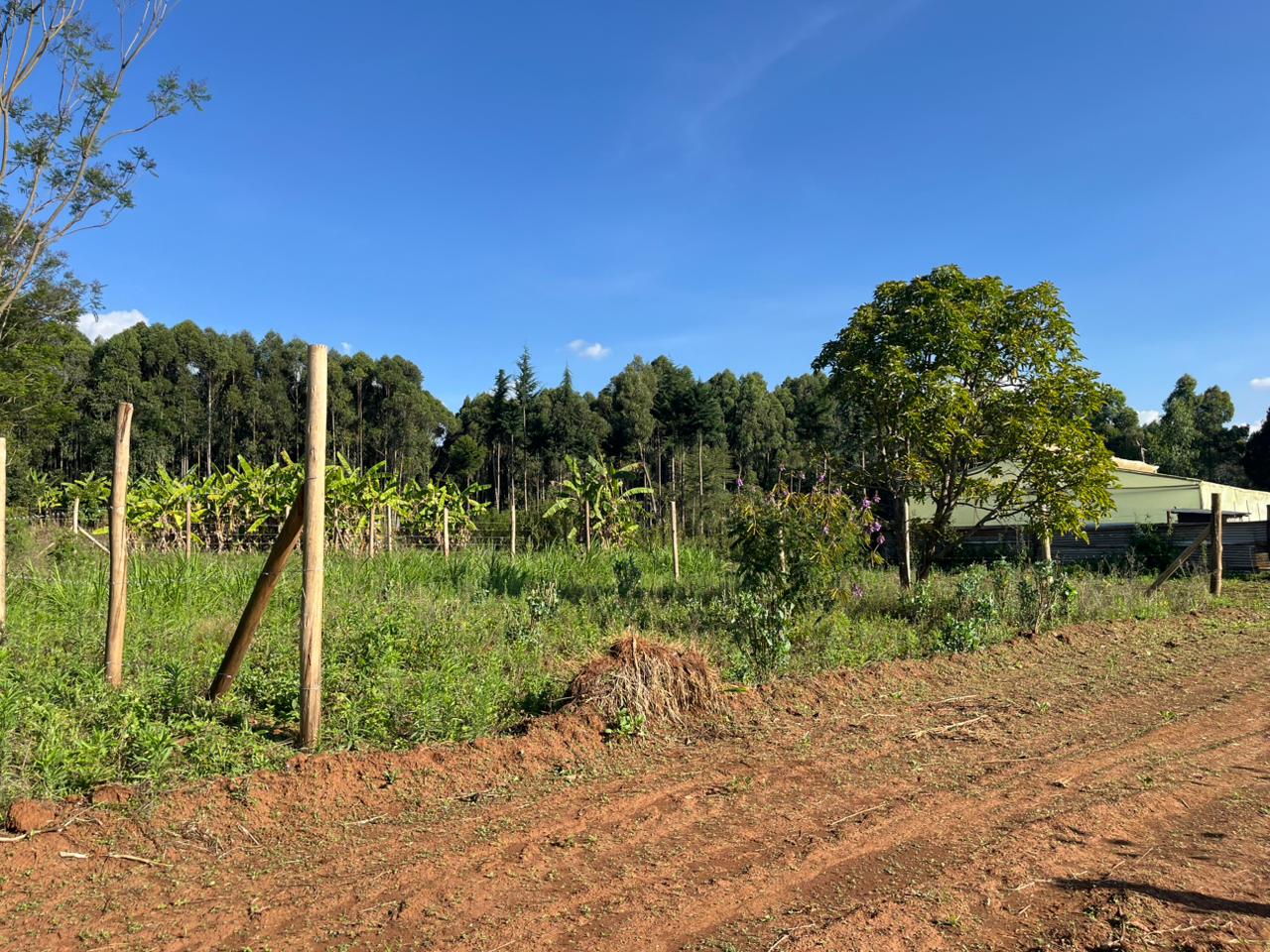 Prime Plot In thigio For only 1.5M