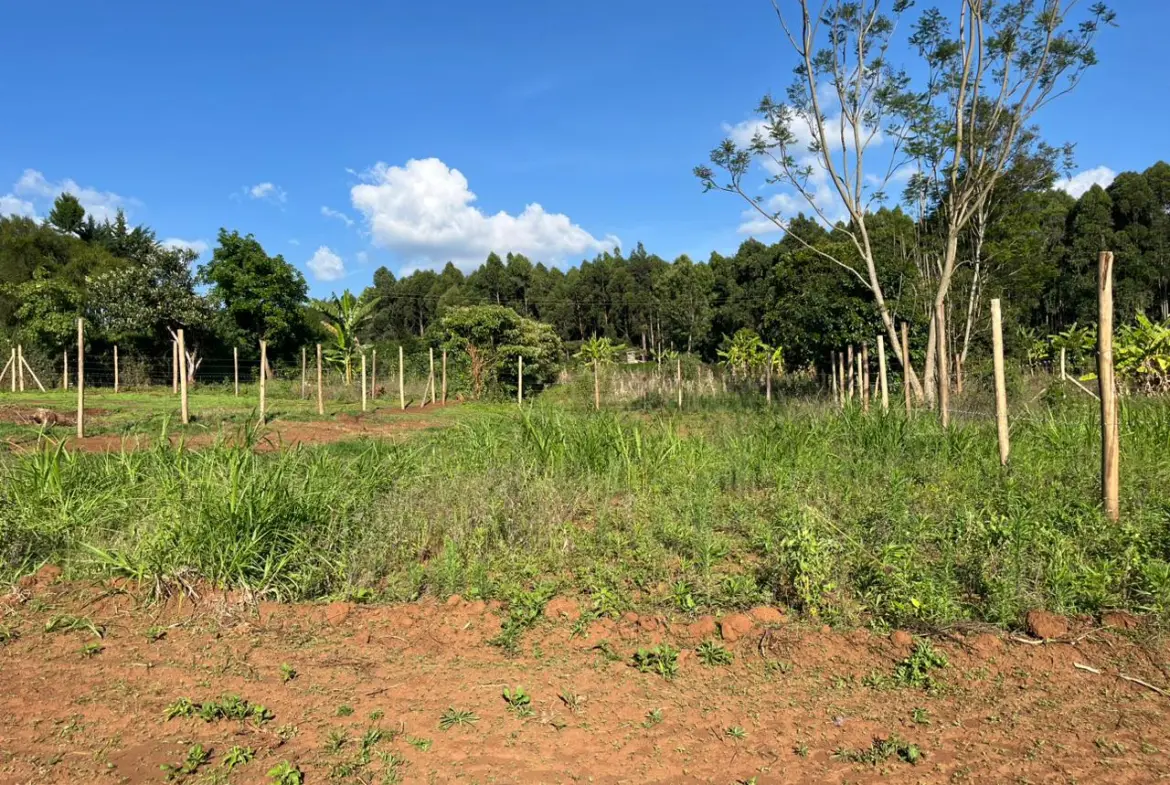 Prime Plot In thigio For only 1.5M