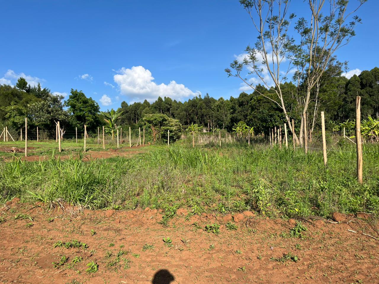 Prime Plot In thigio For only 1.5M